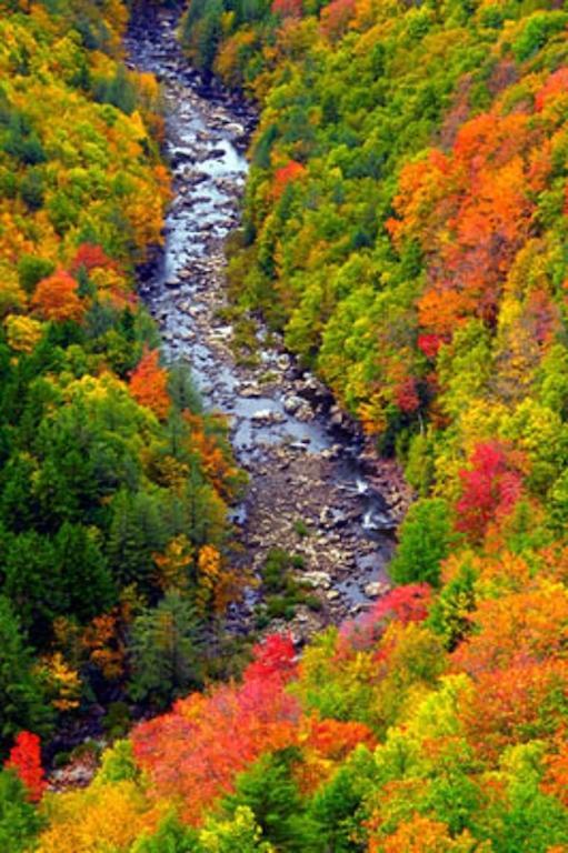 Blackwater Falls State Park Lodge Davis Esterno foto
